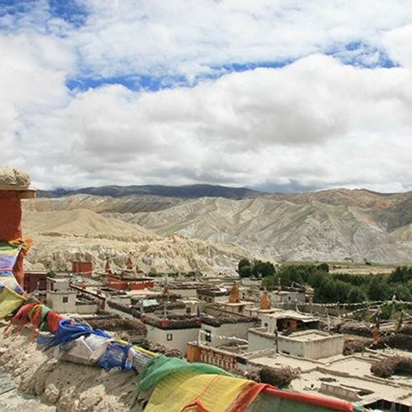 mustang-the-forbidden-kingdom