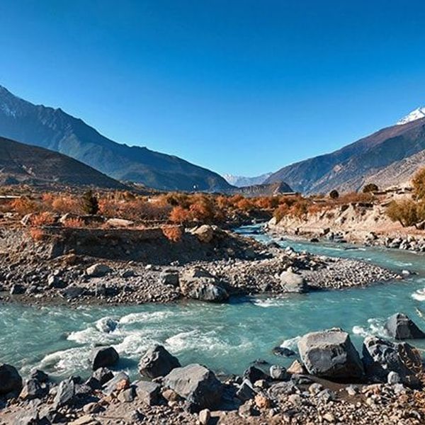 mustang-the-forbidden-kingdom