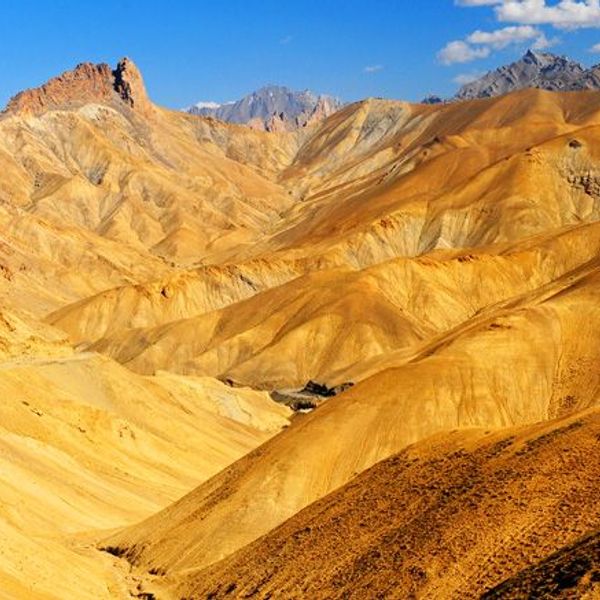 on-the-tracks-of-the-yeti