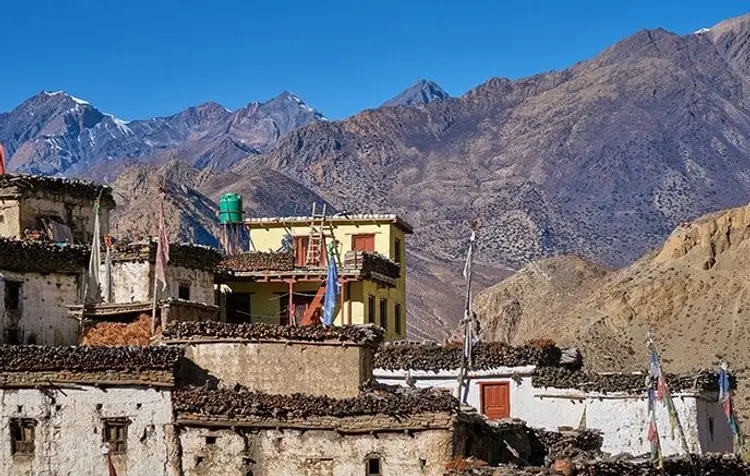 mustang-the-forbidden-kingdom