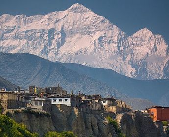 mustang-the-forbidden-kingdom