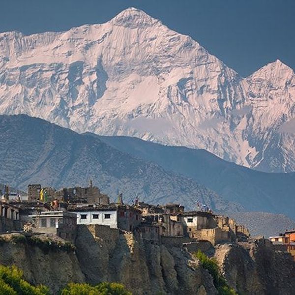 mustang-the-forbidden-kingdom