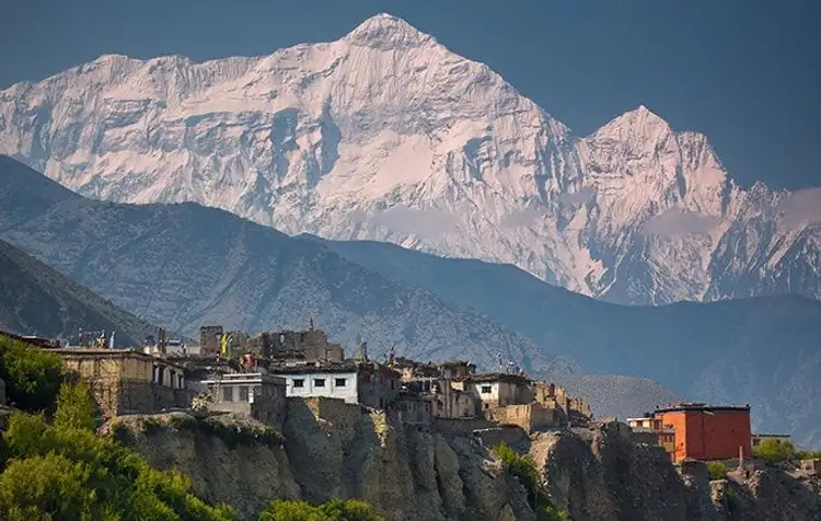 mustang-the-forbidden-kingdom