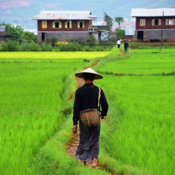 tresors-caches-sud-birman