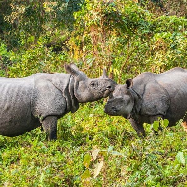 tribus-arunachal-brahmapoutre