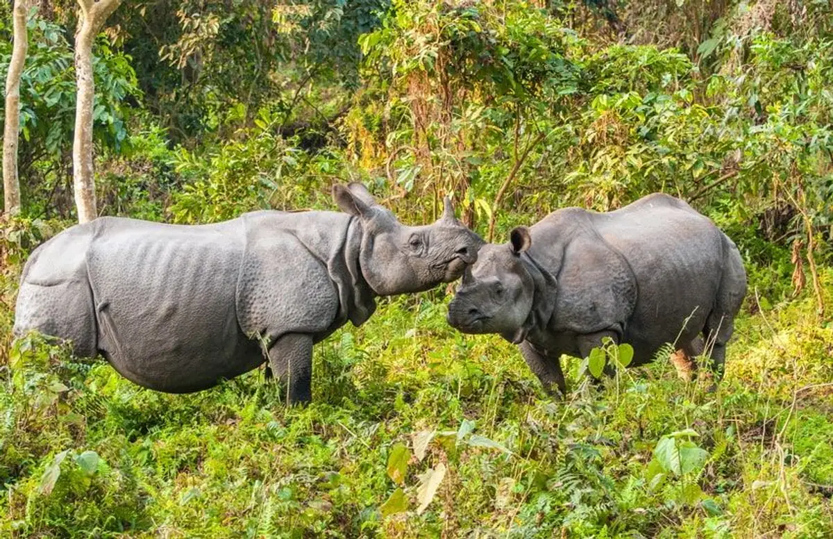tribus-arunachal-brahmapoutre