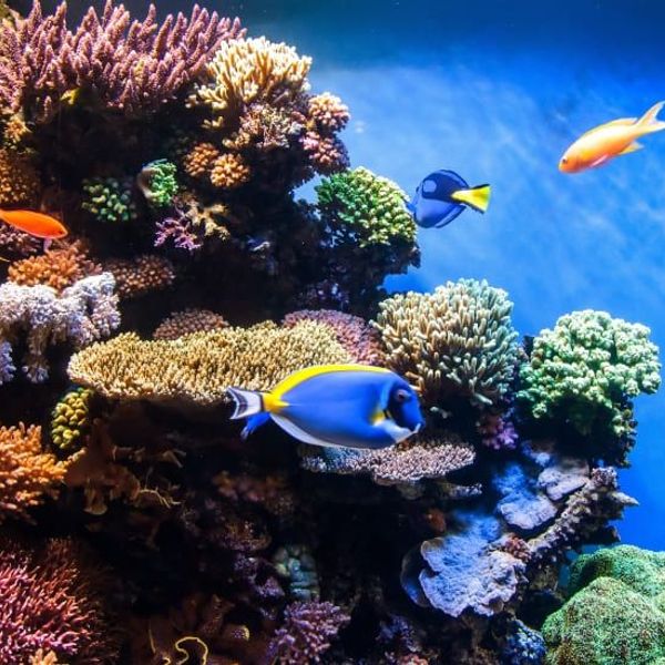 croisiere-archipel-mergui