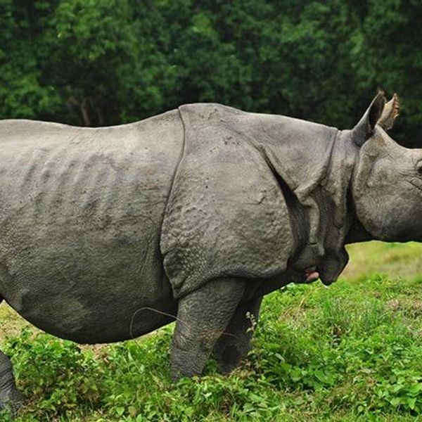family-trip-to-nepal