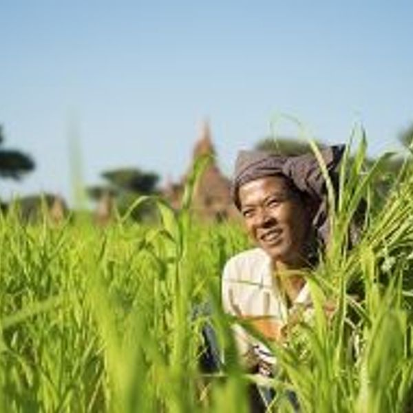 vestiges-joyaux-de-birmanie