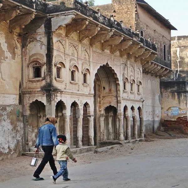 decouverte-du-shekhawati-cheval