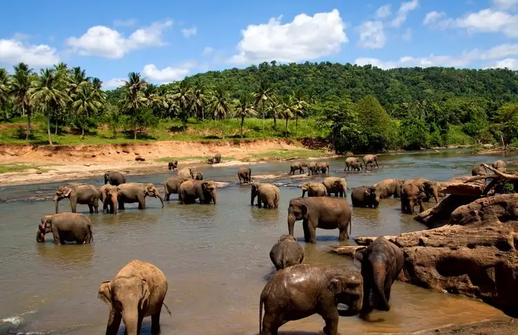 the-sri-lankan-peninsulas-from-kalpitiya-to-jaffna