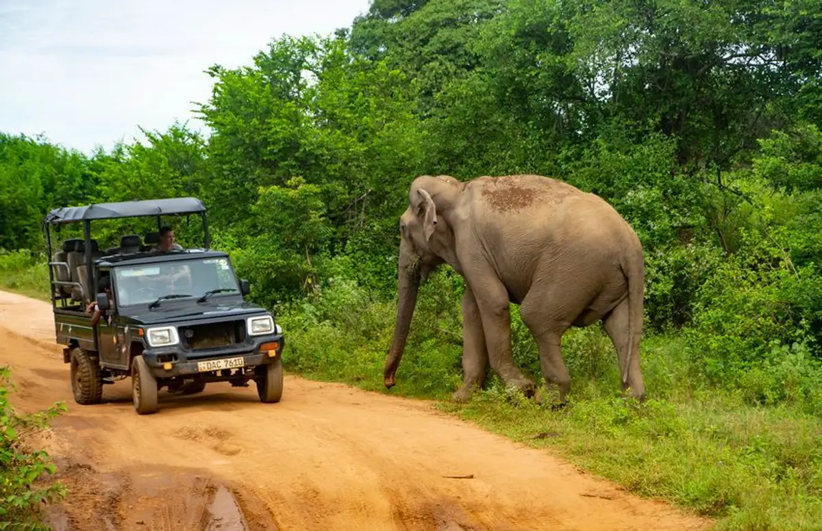 nature-and-culture-of-sri-lanka