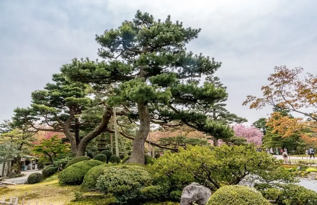 au-coeur-du-japon-traditionnel