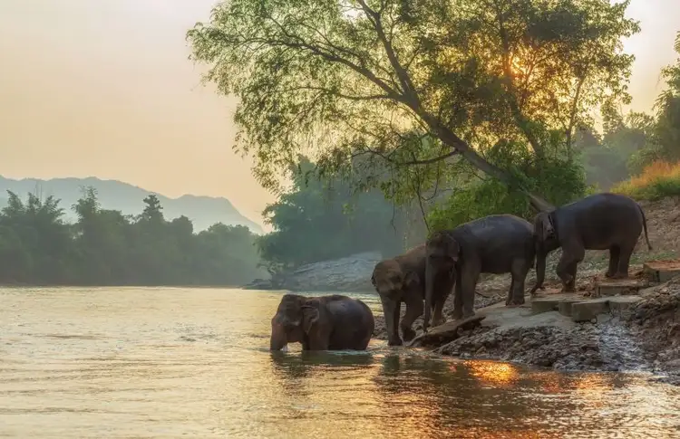thailande-en-famille