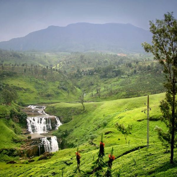 ceylan-ile-aux-enfants