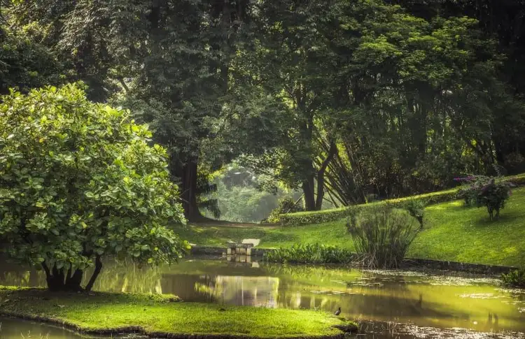 slow-travel-sri-lanka