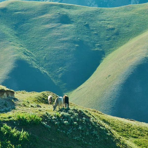 traversee-kirghizistan-ouzbekistan