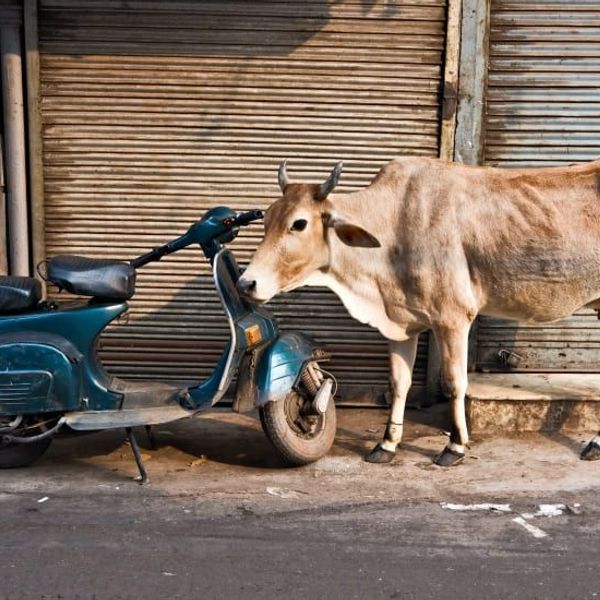 tribus-arunachal-brahmapoutre