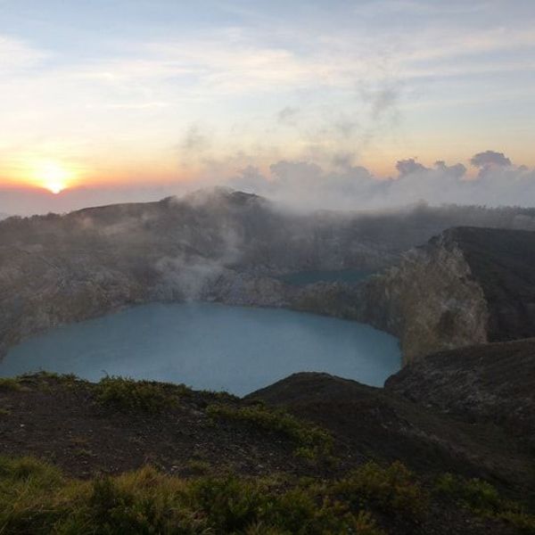 rice-fields-of-bali-to-komodo-dragons