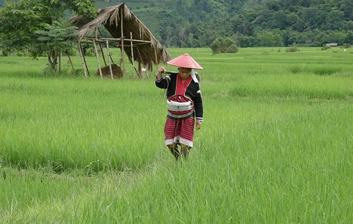coeur-triangle-or-trek-pays-shan
