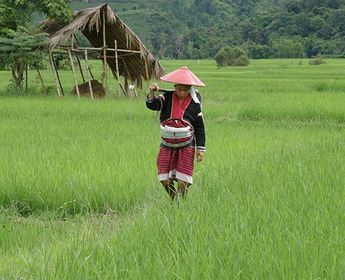 coeur-triangle-or-trek-pays-shan