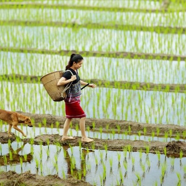 chic-charme-thailande