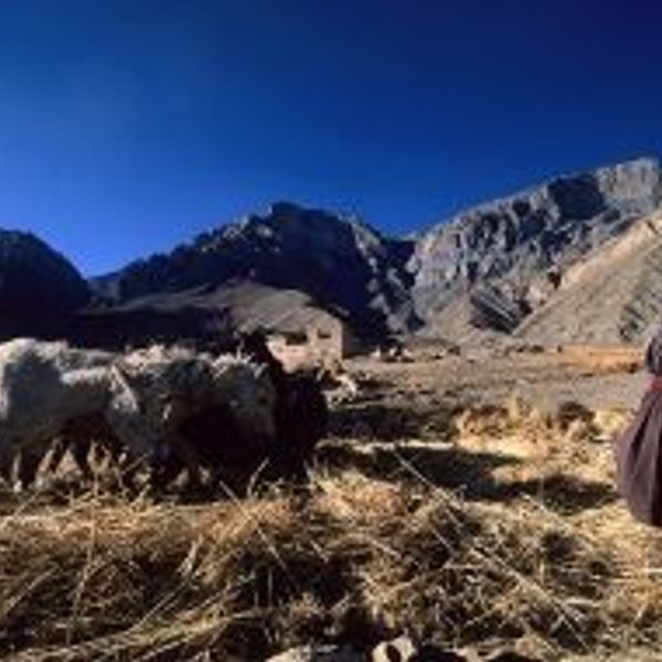 great-crossing-zanskar