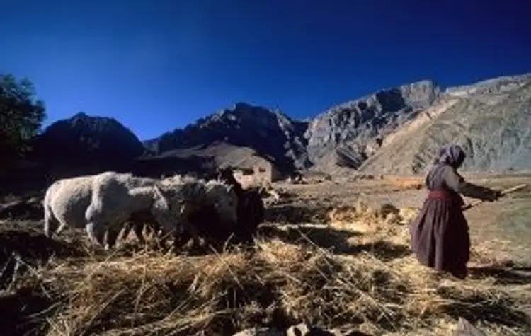 great-crossing-zanskar