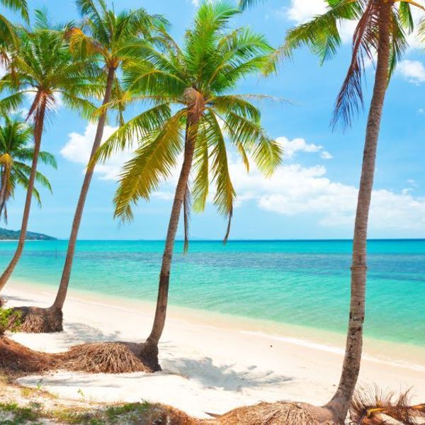 thailande-en-famille