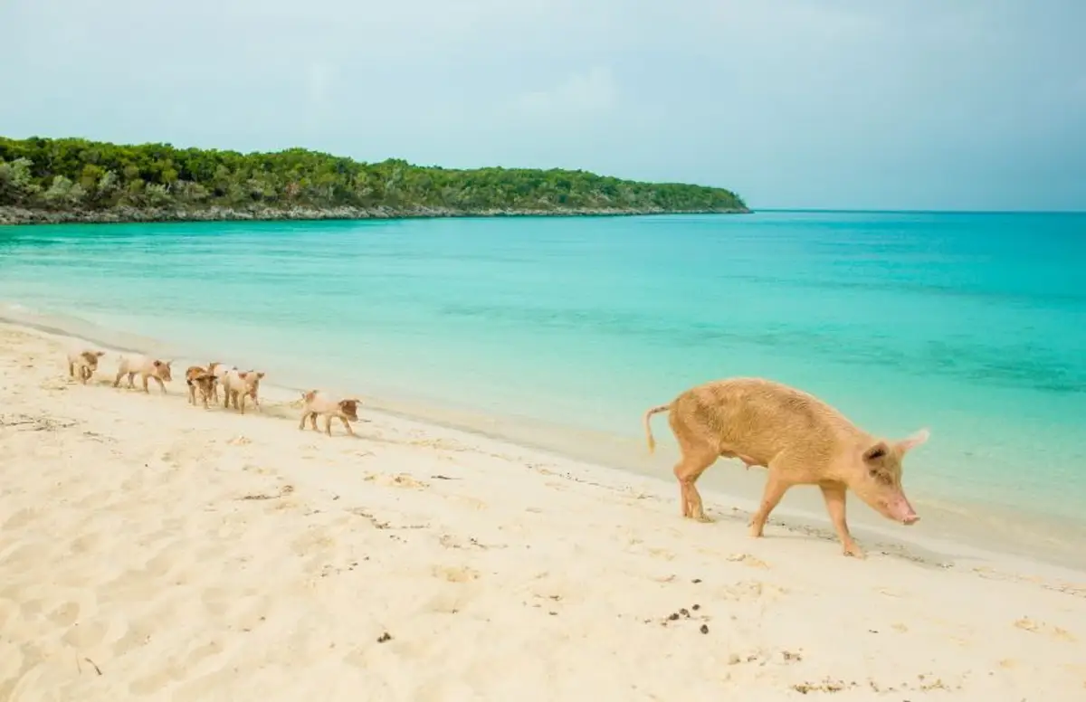 thailande-en-famille