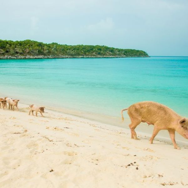 thailande-en-famille