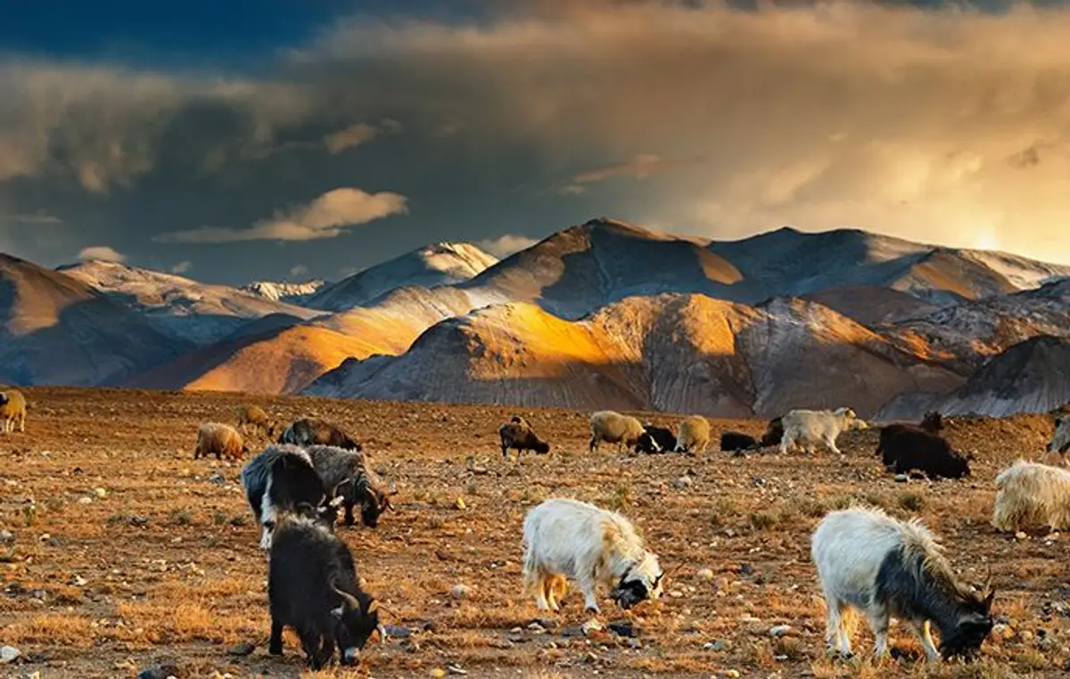 mont-kailash-lac-manasarovar