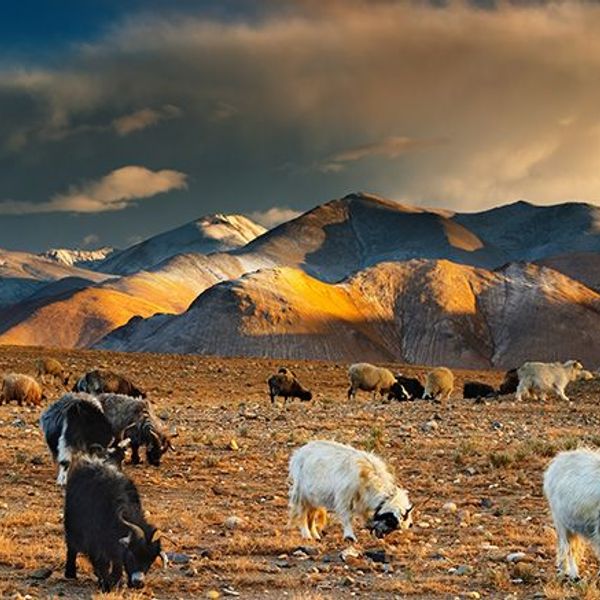 mont-kailash-lac-manasarovar