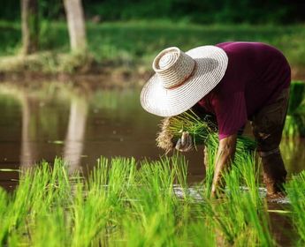 rencontres-laotiennes
