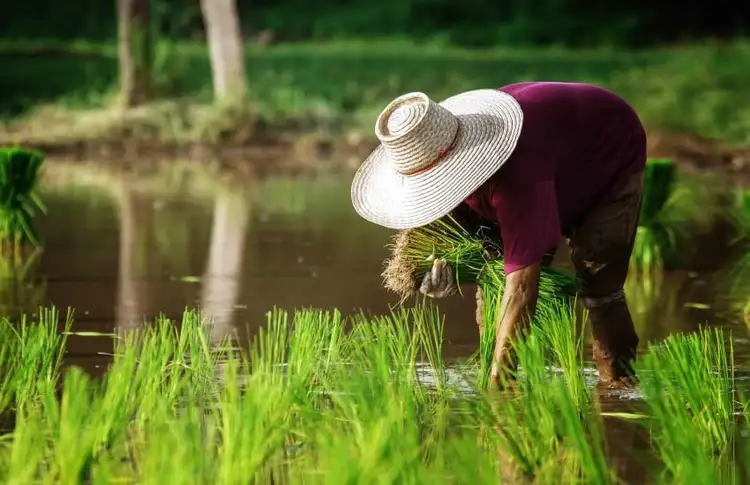 voyage-famille-laos