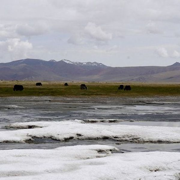 du-rupshu-au-spiti-par-le-parang-la