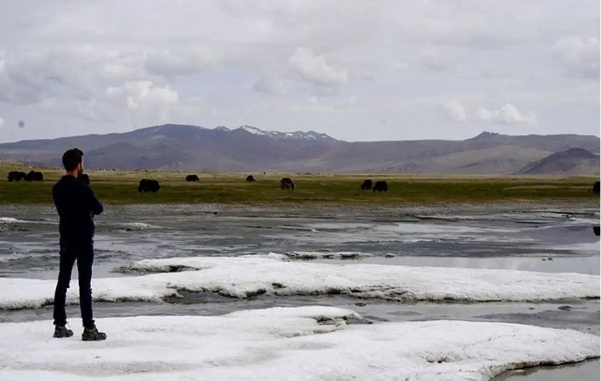 du-rupshu-au-spiti-par-le-parang-la