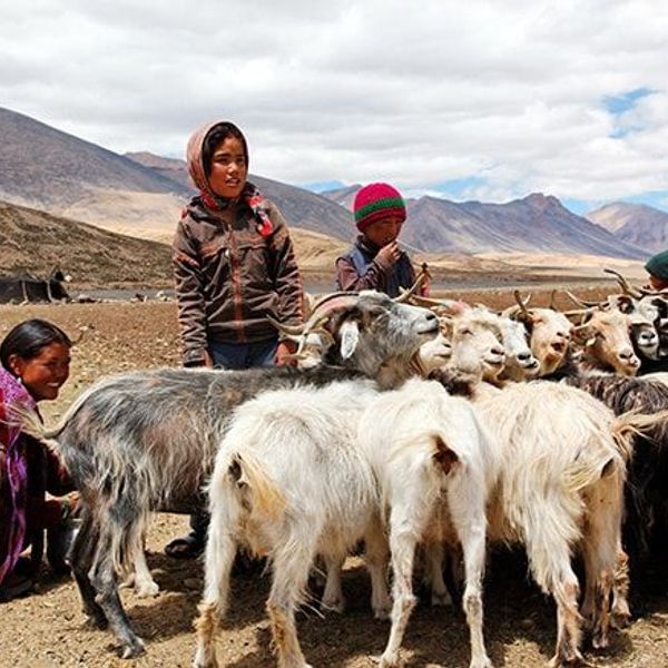 du-rupshu-au-spiti-par-le-parang-la