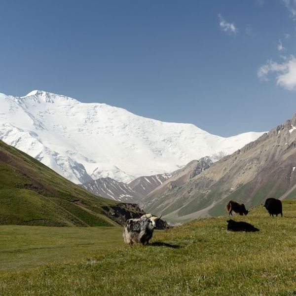 sur-les-sentiers-pamir