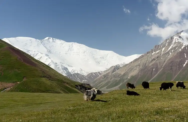 sur-les-sentiers-pamir