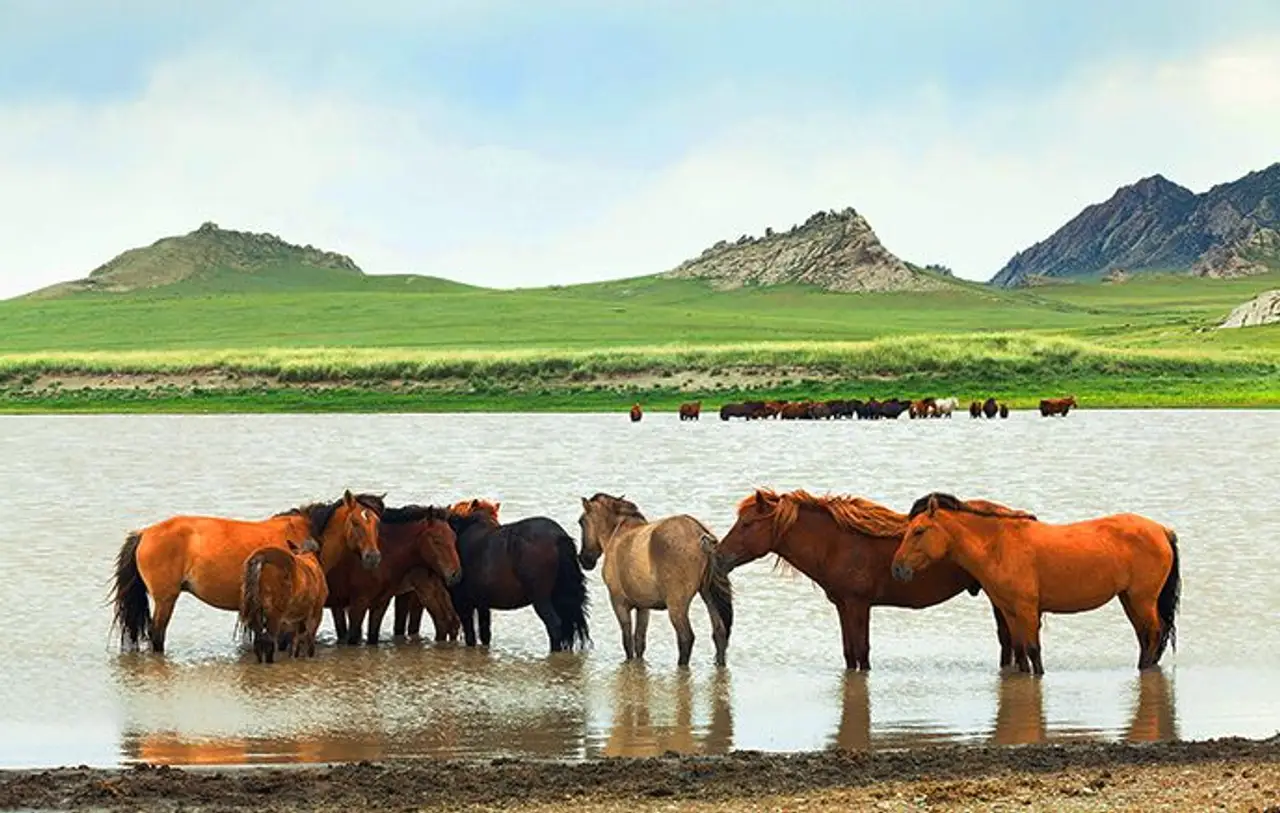grand-tour-mongolie