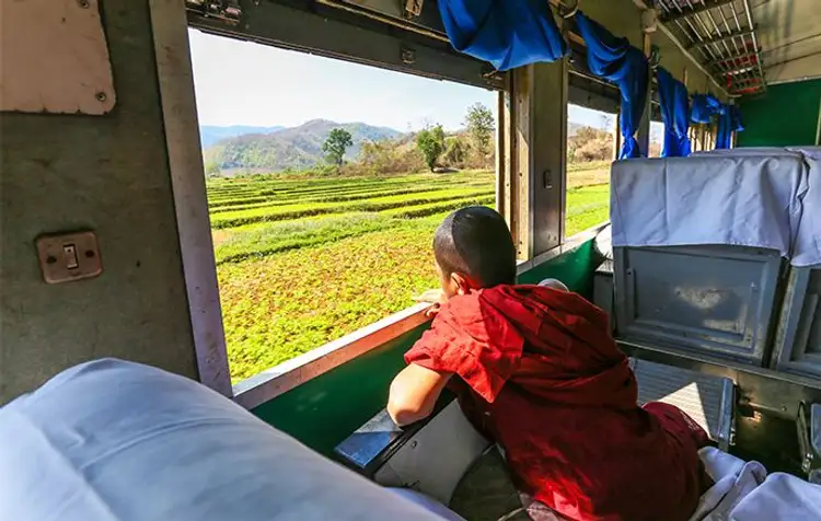 Vue depuis l'intérieur d'un wagon du Circular Train de Yangon traversant la campagne birmane.