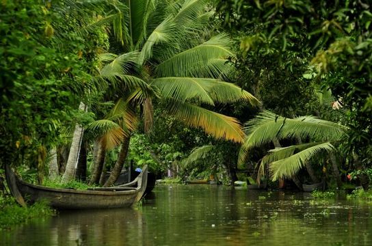 kerala-the-heart-of-traditional-ayurveda