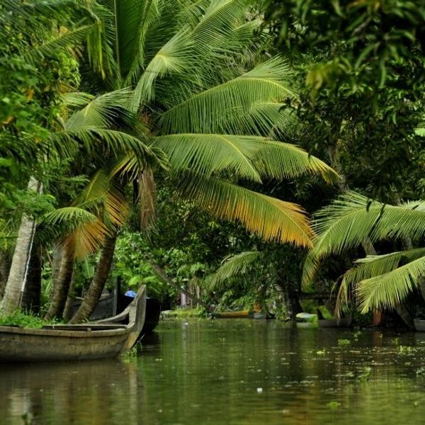 kerala-the-heart-of-traditional-ayurveda