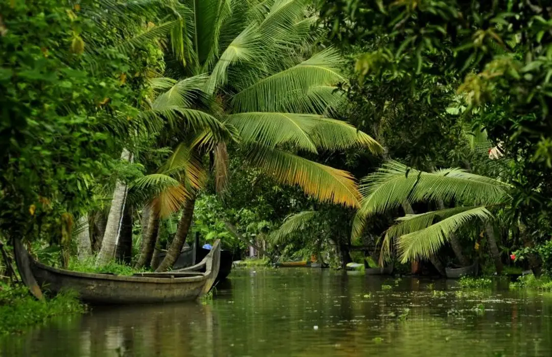 Barque traditionnelle amarrée au bord d'un canal paisible bordé de cocotiers et de végétation luxuriante dans les backwaters du Kerala.