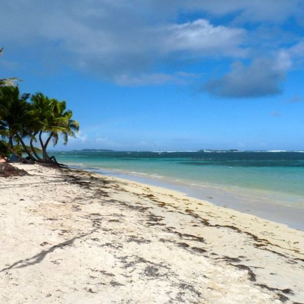 martinique-sur-la-route-du-rhum