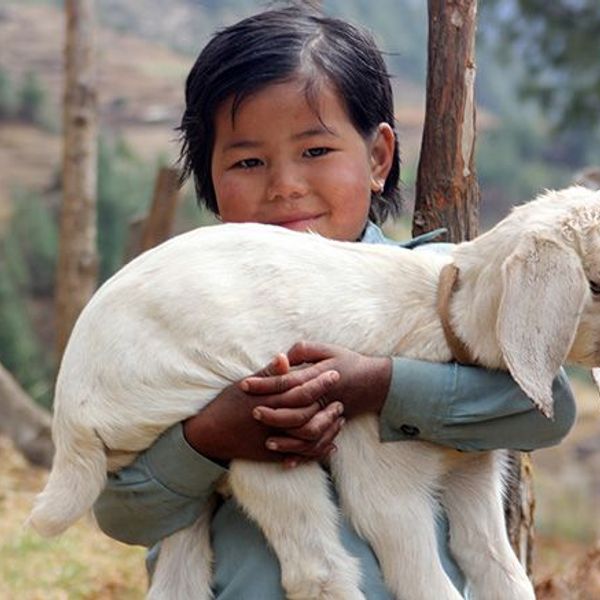 montagnes-monasteres-tibet-central