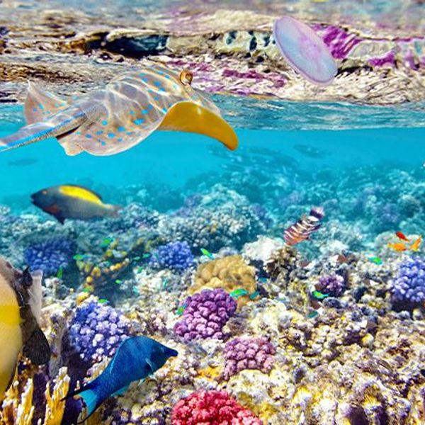 histoire-paysages-plages-nord-philippines