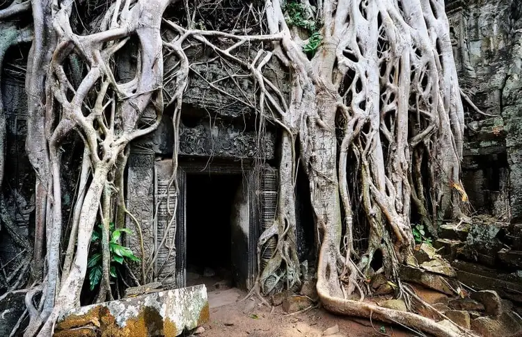 essentiels-laos