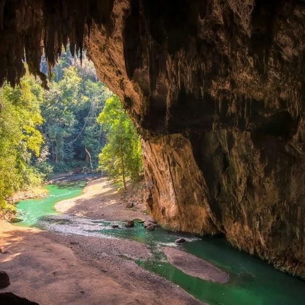 bangkok-femmes-girafes